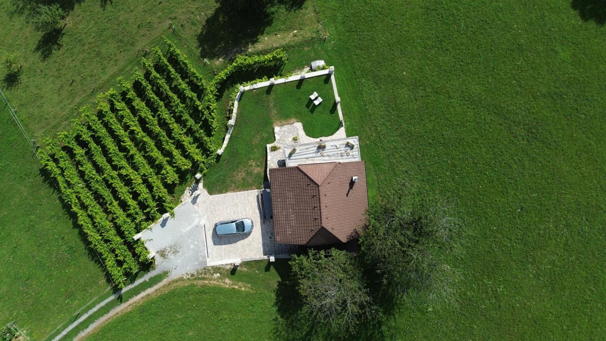 Zerko Holiday Home - Vineyard Chalet With Sauna And Jacuzzi Free Mirna Exterior photo